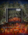 To Where The Winds Blow - CD